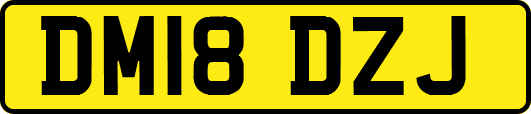 DM18DZJ
