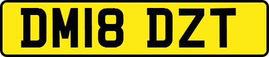 DM18DZT
