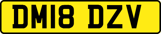 DM18DZV