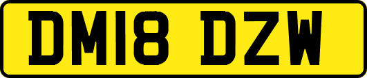 DM18DZW