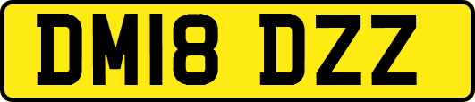 DM18DZZ