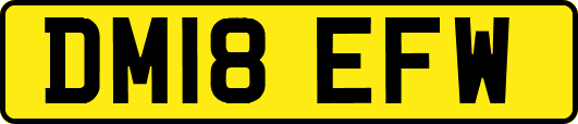 DM18EFW