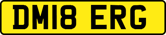 DM18ERG