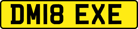 DM18EXE