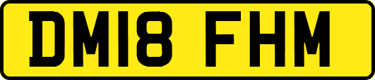 DM18FHM