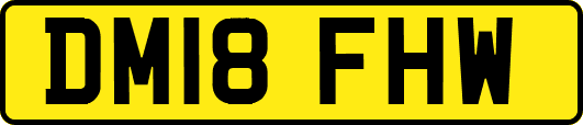 DM18FHW