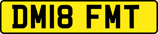 DM18FMT
