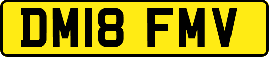 DM18FMV
