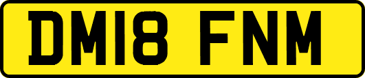 DM18FNM