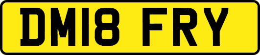 DM18FRY