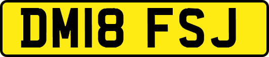 DM18FSJ