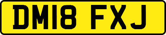 DM18FXJ