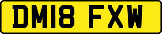DM18FXW