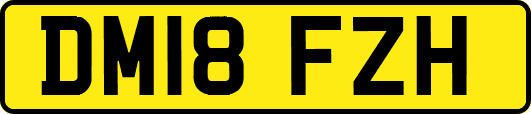 DM18FZH