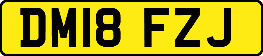DM18FZJ