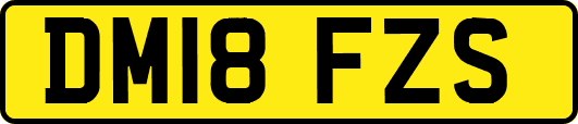 DM18FZS