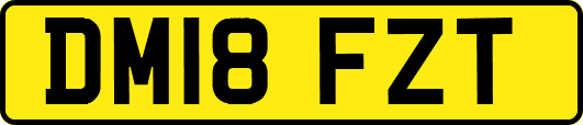 DM18FZT