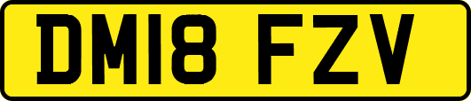 DM18FZV