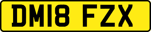 DM18FZX
