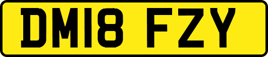 DM18FZY