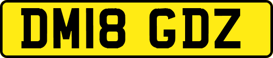 DM18GDZ