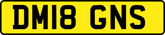 DM18GNS