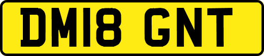 DM18GNT