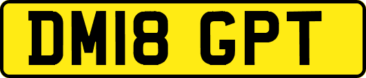 DM18GPT