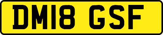 DM18GSF