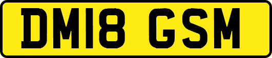 DM18GSM