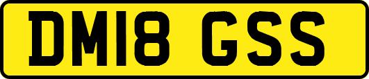 DM18GSS