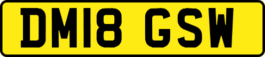 DM18GSW