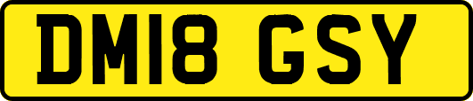 DM18GSY