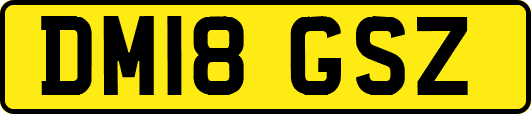 DM18GSZ