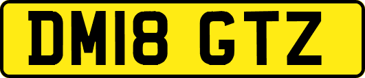 DM18GTZ