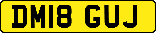 DM18GUJ