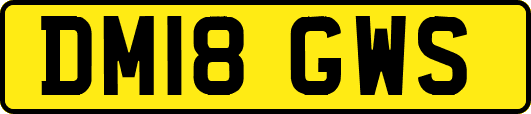 DM18GWS