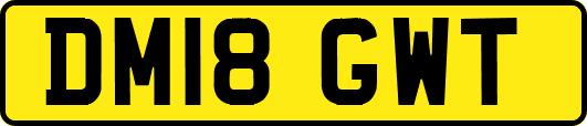 DM18GWT