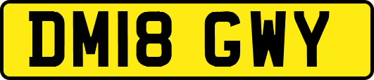 DM18GWY