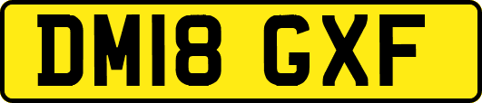 DM18GXF