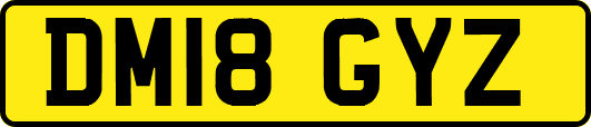 DM18GYZ