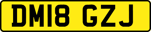 DM18GZJ