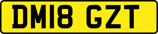 DM18GZT