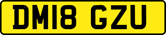 DM18GZU