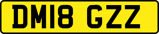 DM18GZZ