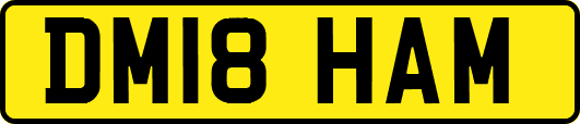 DM18HAM