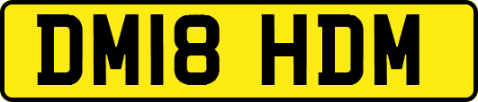 DM18HDM
