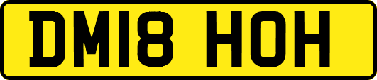 DM18HOH