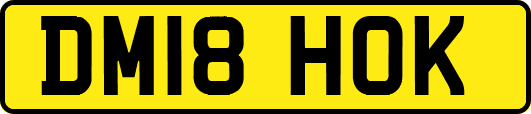 DM18HOK