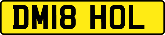 DM18HOL